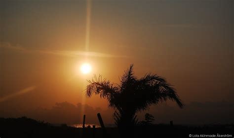 Postcard: Palm trees at sunset in Lagos - Geotraveler's Niche - Lola ...