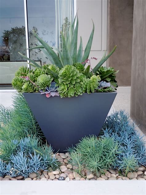 succulent pot | Sukkulenten, Kaktusgarten, Kakteen garten