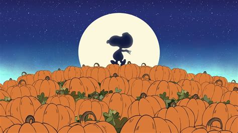 It's the Great Pumpkin, Charlie Brown (1966) - Backdrops — The Movie ...