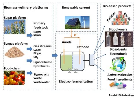 Electro-Fermentation – Merging Electrochemistry with Fermentation in ...