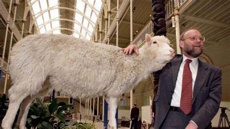 In Memoriam: Ian Wilmut, Father of Cloning and Creator of Dolly the Sheep, Passes Away – Archyde