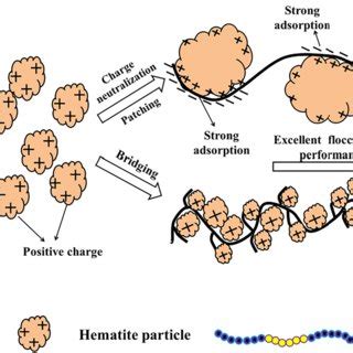 A microblock structure type of anionic flocculant for hematite ...