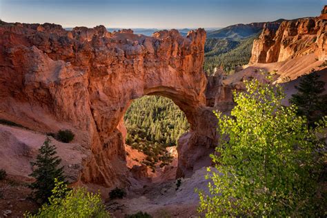 Bryce Canyon National Park - Images by Dave Koch Photography