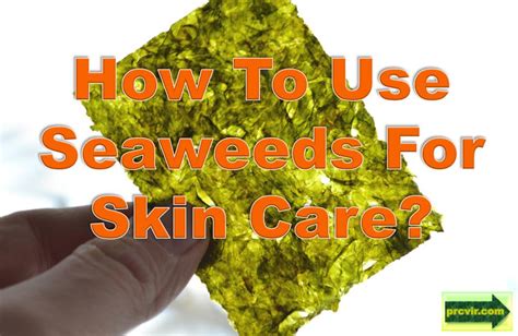 How To Use Seaweeds For Skin Care? | prCvir