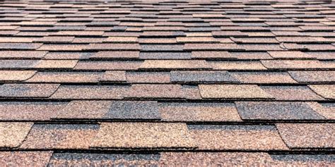 Best Types of Asphalt Roof Shingles in Florida | Classic Roofing