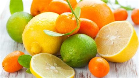 Live Chennai: Know the massive benefits of citrus fruits,benefits of citrus fruits,benefits ...