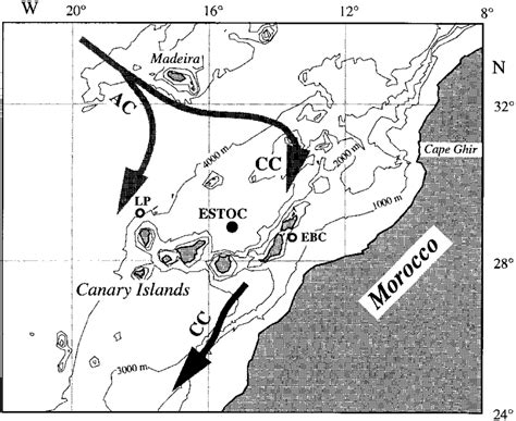 Map of the Canary Islands region with surface current pattern (AC ... | Download Scientific Diagram