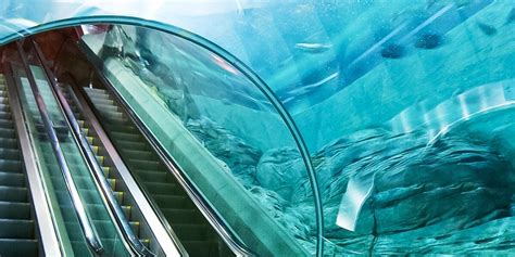 An Underwater Escalator! Shanghai’s Aquarium Takes You “Up Close” For A Fish Lover’s Dream Come ...