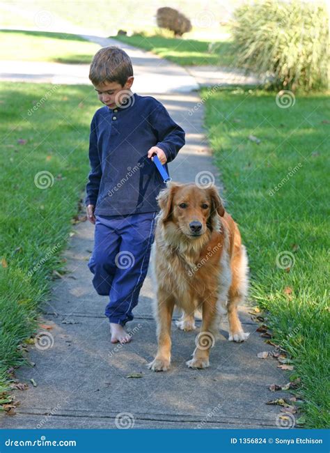 Boy Walking Dog Stock Images - Image: 1356824