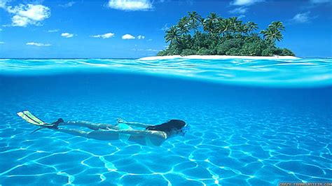 1920x1080px, 1080P free download | Scuba Diving in Paradise, oceans ...