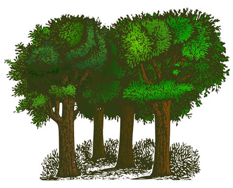 Free Clip Art Trees, Download Free Clip Art Trees png images, Free ClipArts on Clipart Library