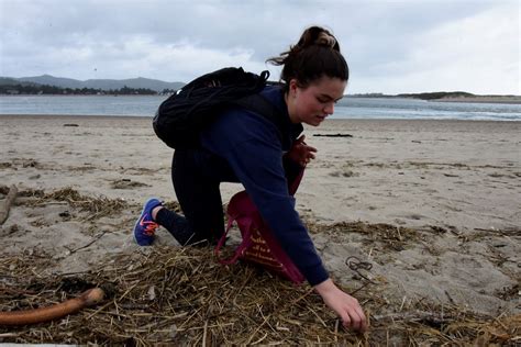 Nye Beach Oregon Volunteer Beach Cleanup • Ocean Cleanup Organizations ...