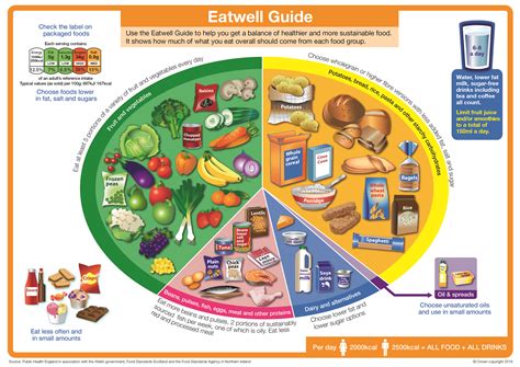 a balanced plate for primary school children - Paediatric Nutrition
