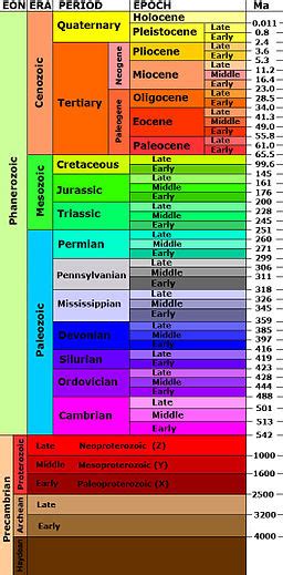 Geologic Column Definition, Formation & Examples | Study.com