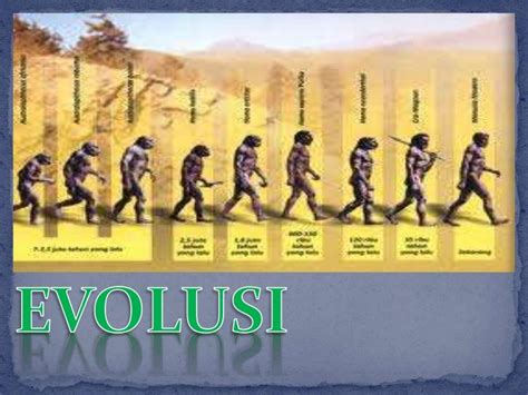 EVOLUSI BIOLOGI - 3 SMA