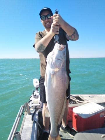 Harbour Fishing Half Day - DARWIN HARBOUR FISHING CHARTERS Reservations