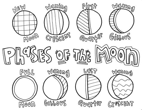 Phases of the Moon