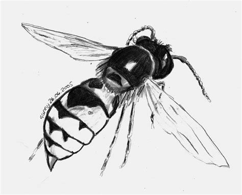 Wasp - Drawing Skill