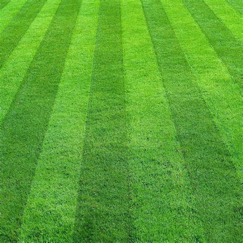 Best Lawn Mowing Patterns | Cardinal Lawns