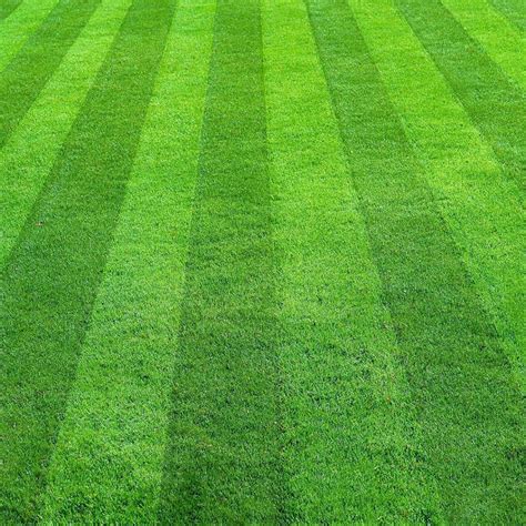 Best Lawn Mowing Patterns | Cardinal Lawns