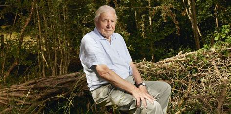 Sir David Attenborough teases scene in new Planet Earth that made him ...