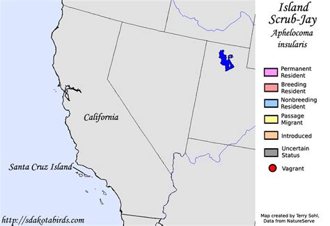 Island Scrub-Jay - Species Range Map