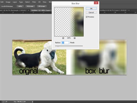 Blur Tool in Photoshop: The What, How, and Why - Udemy Blog