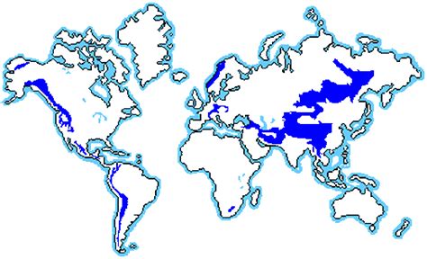 Where is Tundra in the World? - Tundra and Taiga