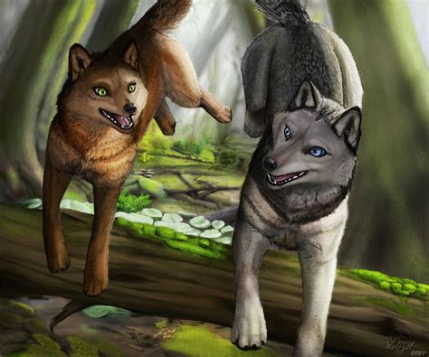 WolfWalkers - Mebh and Robyn - Fanart by wolfzol on DeviantArt