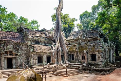 DSCF7339-Ta Prohm temple, Cambodia | Ta prohm temple, Ta prohm, Cambodia