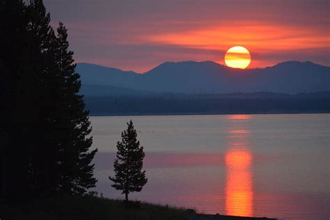 Lake Yellowstone Sunrise Photograph by Sonja Bratz