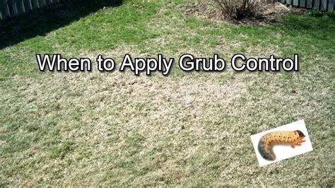 When to Apply Grub Control / Killer | Zones | Preventative or Regular