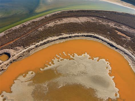 Annotated Nature: South Bay Salt Ponds — Bay Nature