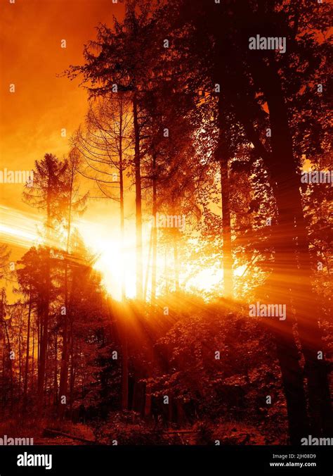 Tunguska event, illustration Stock Photo - Alamy