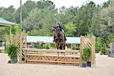 Horse show photography: When spectators decide to break out a camera ...