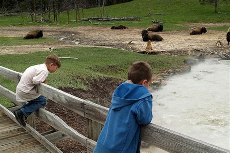 10 Best Reasons To Take The Kids To Yellowstone