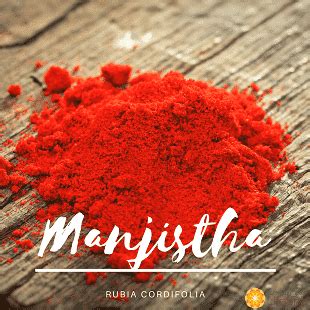 Manjistha - Health Benefits, Side Effects, Uses | John Douillard's LifeSpa