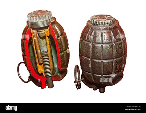 Mills bomb grenade as used by British army in the world wars cutaway Stock Photo, Royalty Free ...