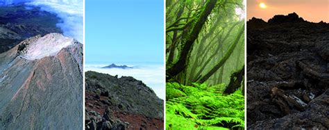 Parques Nacionales de Canarias | Isla de Tenerife Vívela