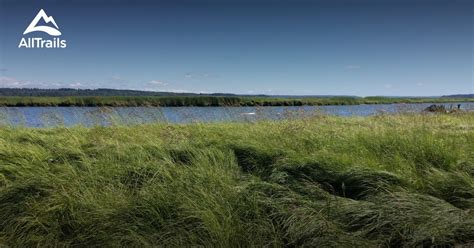 Best Trails in Skagit Wildlife Area - Washington | AllTrails