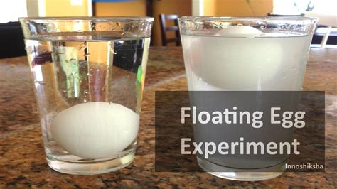 Egg Floating in Saltwater Experiment - YouTube