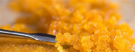 How to Use Rosin | Clear Choice Cannabis