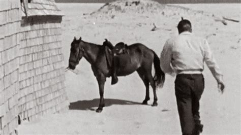 Sable Island by Allan Wargon - NFB