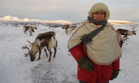 Sami reindeer herders battle conservationists and miners to cling on to Arctic culture ...