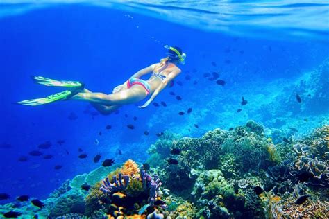 23 Best Snorkeling Spots on the Big Island, Hawaii (with Map) - TourScanner