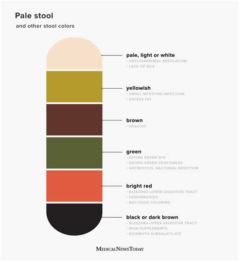 Stool Color Chart For Adults