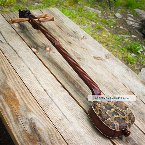 Antique 19thc Chinese Lute Sanxian Rosewood Snake String Music Instrument Guitar