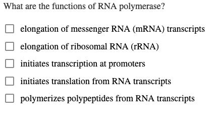 SOLVED: What are the functions of RNA polymerase? elongation of ...