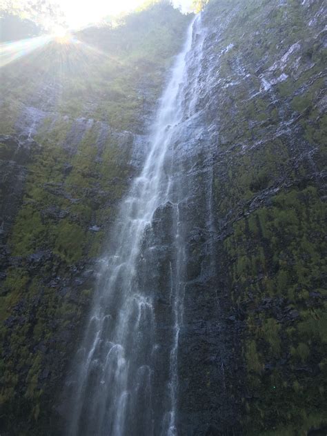 Waimoku Falls Maui Travel, Waterfall, Trip, Outdoor, Outdoors ...