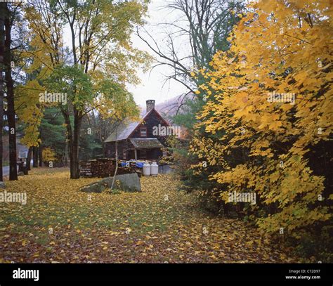 Small cabin in woods in fall, near Woodstock, Vermont, United States of America Stock Photo - Alamy